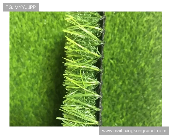 中国足球比赛场地草皮质量与滑倒伤害关联性研究，足球场常用草皮种类