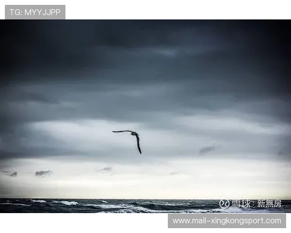 逆风飞扬：那些永不放弃的瞬间！，逆风飞扬上一句